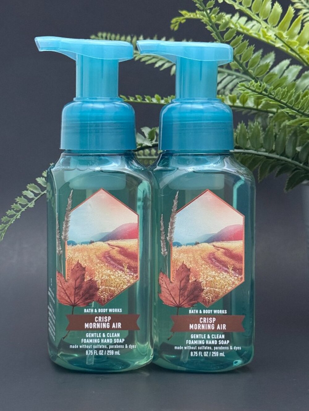 Bath & Body Works BBW Crisp Morning Air Gentle Foaming Hand Soaps X 2